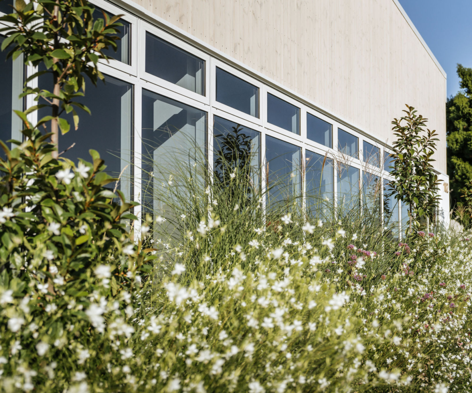 Fosters Janesce Mar 2024 16