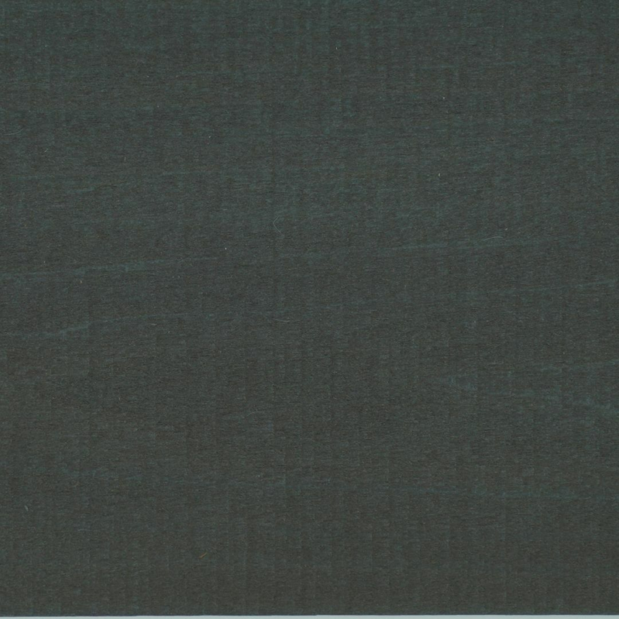 JSC Coda Silver Fox 2nd coat 1 2