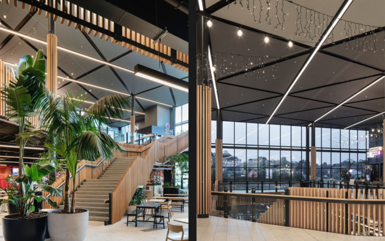 P Tauranga X 1 Large