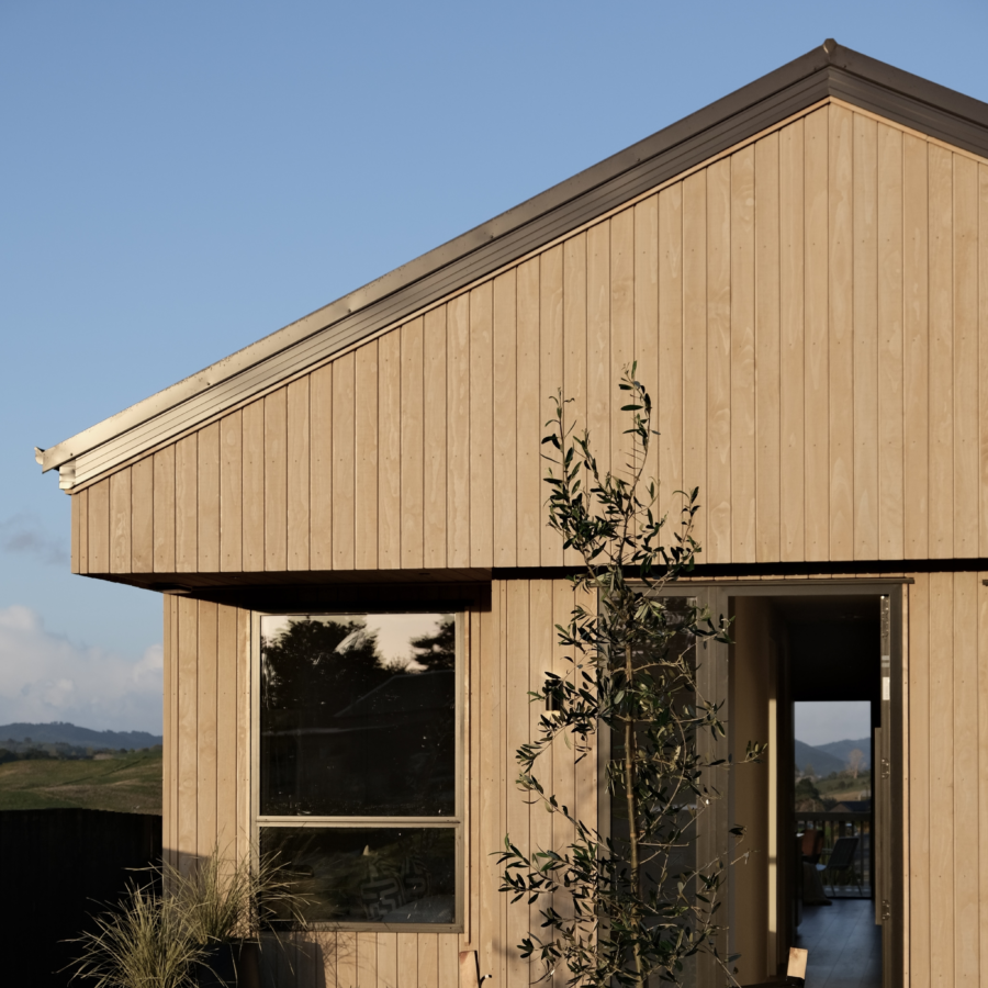 Radiata APJ731 BSF Ash Clear