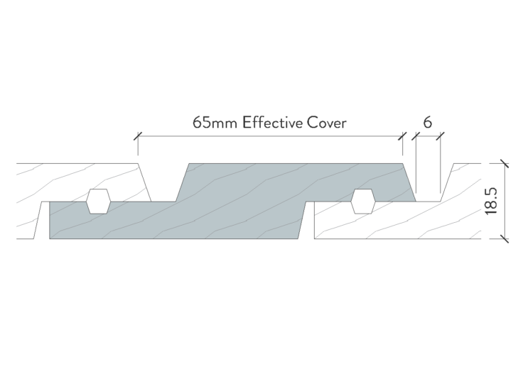 TMT49 Large Size side profiles